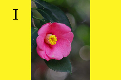 川村虹花 Explore Tumblr Posts And Blogs Tumgir 川村虹花 Explore Tumblr Posts And Blogs Tumgir