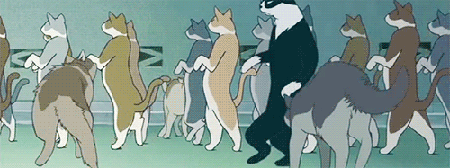 the-absolute-best-posts:  The Cat King’s CatGuard 