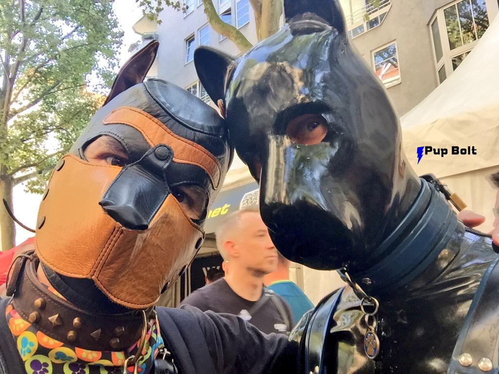 pupbolt:  Bolt loved seeing MLatexM (top), Mr Puppy EU Kriszly and ‘Mystery Pup’