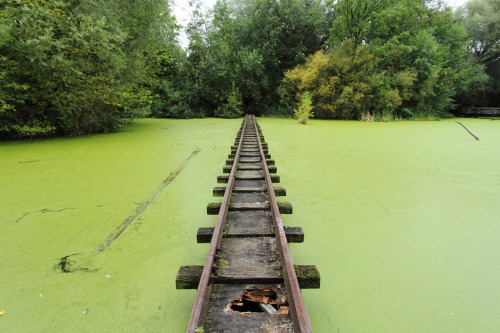 atraversso:  Spreepark  by Scrappy NW   Please don’t delete the link to the photographers/artists, thanks! 