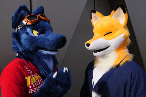 sterilizedwerewolf:  hellofursuits:  Source  =D 
