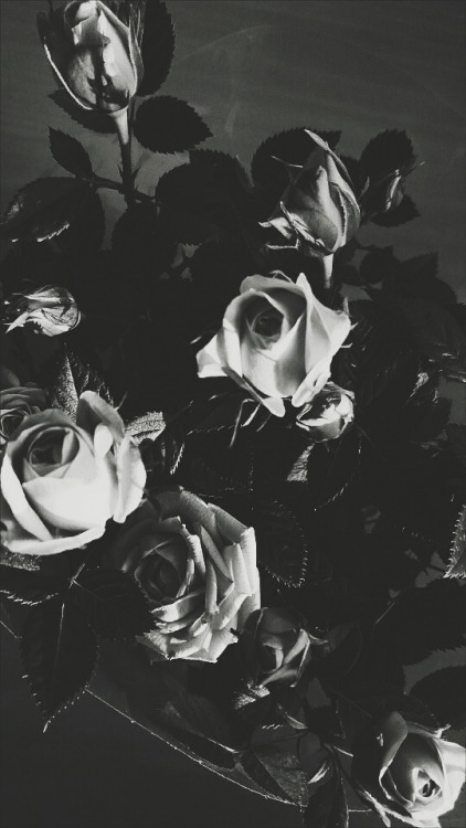 psychoscreen:P S Y C H O S C R E E N ⠀⠀Black Roses
