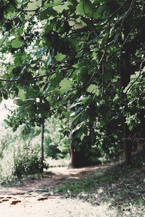 nature trail