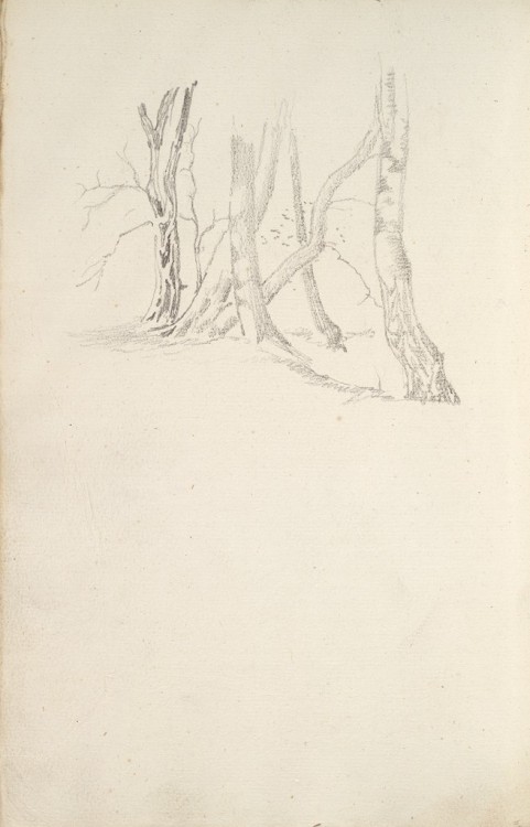 Blank; verso: Trees, Edward Burne-Jones, 19th century, Harvard Art Museums: DrawingsHarvard Art Muse