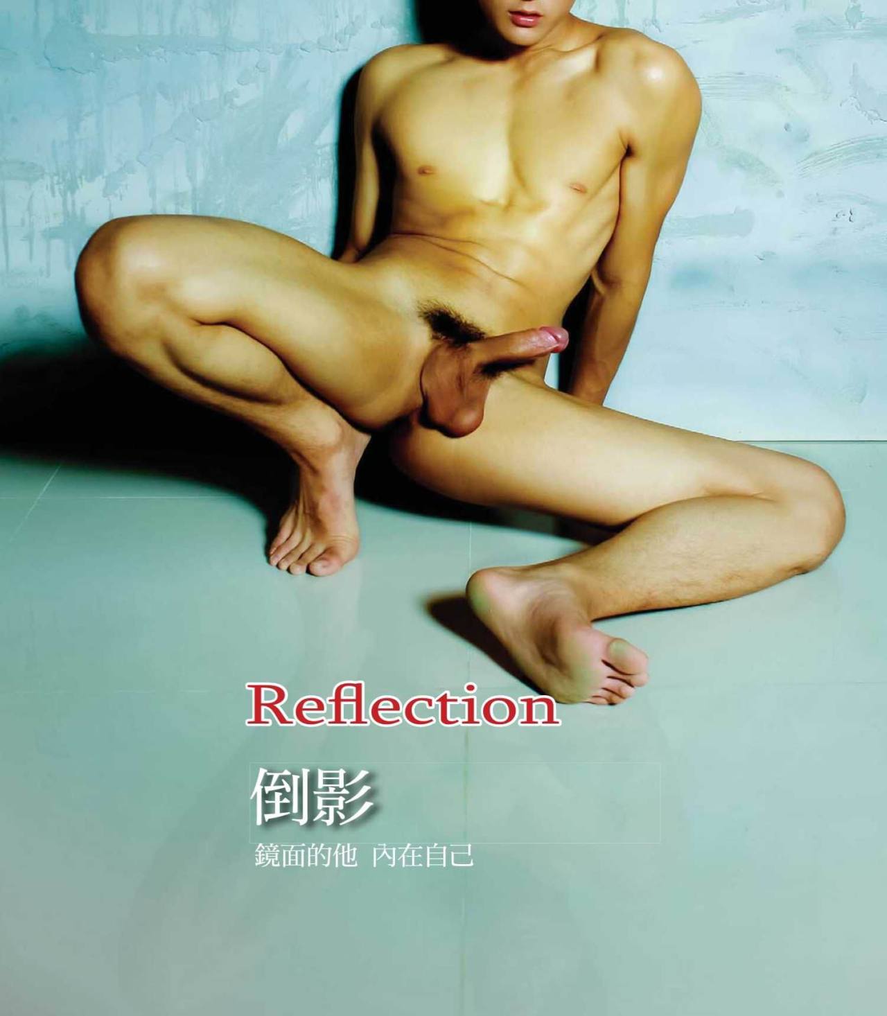 月光同影