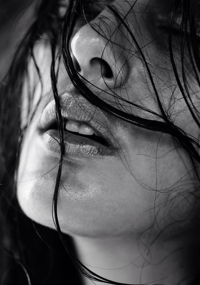 Wild Hearts Can't Be Broken