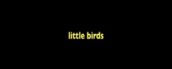 odd-film-stills:  “I traveled halfway across the world to find out that people are dumb and cruel everywhere. I could’ve just stayed home.”Little birds (2011) dir. Elgin James