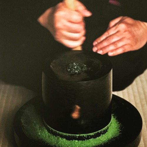 La fabrication du thé vert pour la cérémonie du thé… #japan #ptk_japan #japanese #japon #japo