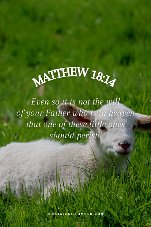 bibligical:Matthew 18:14Even so it is not the will of your Father who is in heaven that one of these