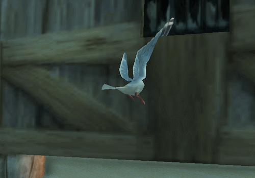 dretanya:  what is this gull even doing?