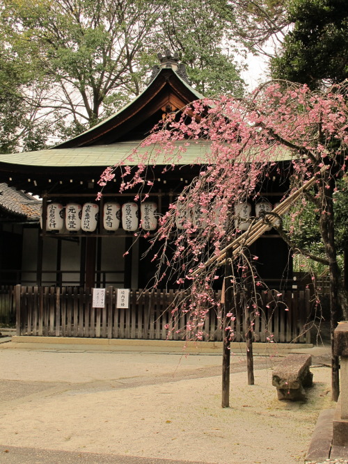 xing-xing-the-high-unicorn: a shrine in Kyoto, Japan