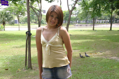 Sex Sexy Shemale's and Ladyboy's pictures