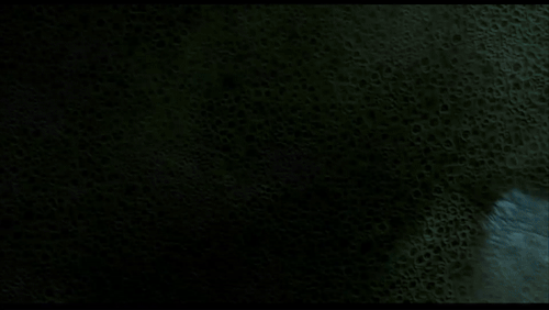My Beloved Bruce Banner... Getting Angry, Experimenting What He Loves, Losing Control, Feeling His Muscles