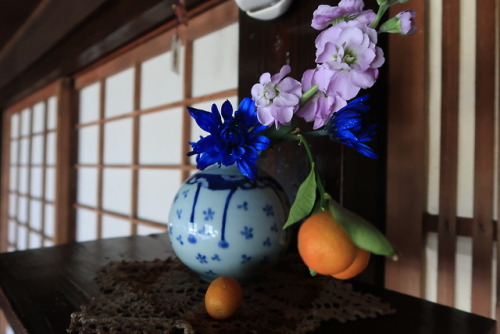 This Week’s Ikebana  - Sparkling BlueAt the local michi-no-eki someone had gone to a lot of trouble 