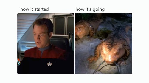 spockvarietyhour