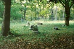 republicangirlprobs:  sixpenceee:Bachelor’s Grove Cemetery is a small, abandoned cemetery in Chicago’s southwest suburbs. It is well known for its haunted reputation and supposed ghost sightings. Some ghostly sightings are the white lady who has
