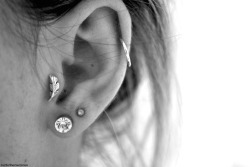 jealusies:  want more ear piercings so bad
