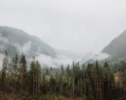 andrewtkearns:  Washington roadside views.