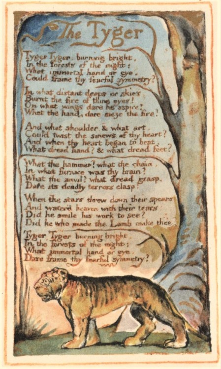uwmspeccoll: A William Blake Caturday On this Caturday we bring you two versions of WIlliam Blake&rs