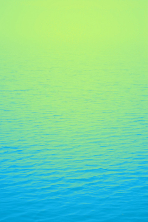 opticallyaroused:  Just Go With It