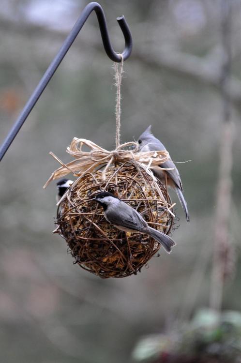 Bird feeder with roof