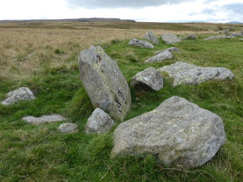 ‘The Cockpit’ Stone Circle, Moor Divock, Cumbria, 27.8.17. This large recumbent stone ci