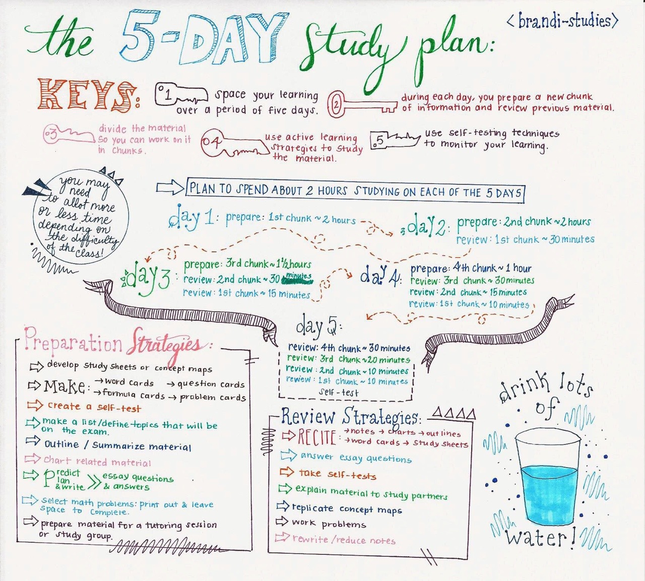 brandi-studies:  The Five Day Study Plan:  Exam season is upon us (actually, exam