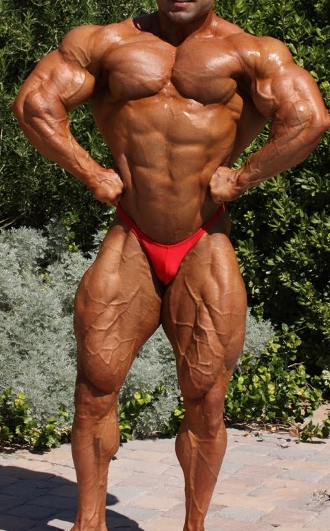 Muscle