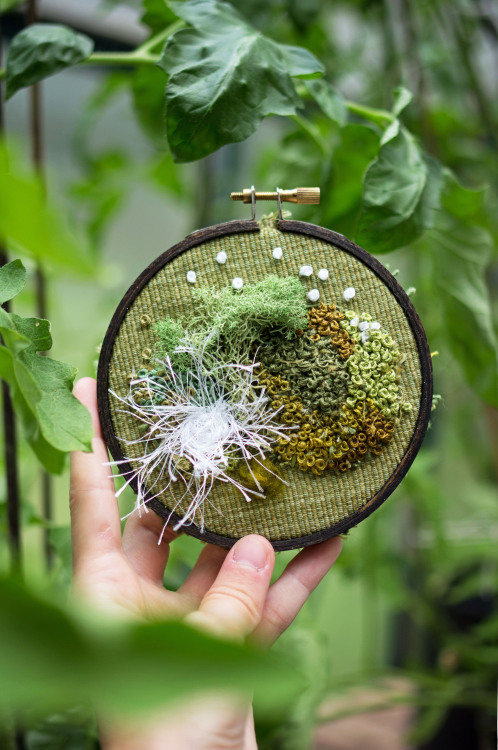 leavingmybody:some of my favorite moss embroideries 