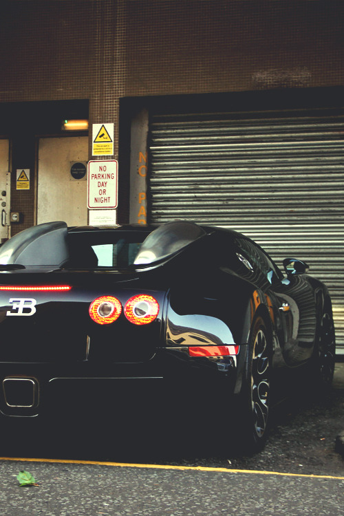 wormatronic:  Veyron | More 