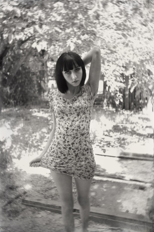 tumblr photo speciesofthedead 0