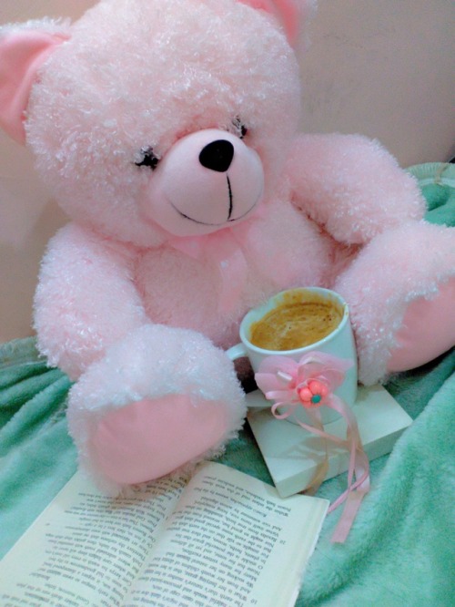 tumblr teddy bear