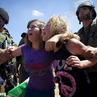 Pallywood star "Shirley Temper" is Amnesty's poster child - literally