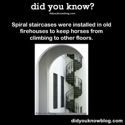 did-you-kno:  Spiral staircases were installed in old firehouses to keep horses from climbing to other floors. Source