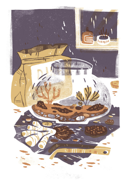 wishbow: A little comic about terrariums and after work day-dreaming. I did this comic for an a