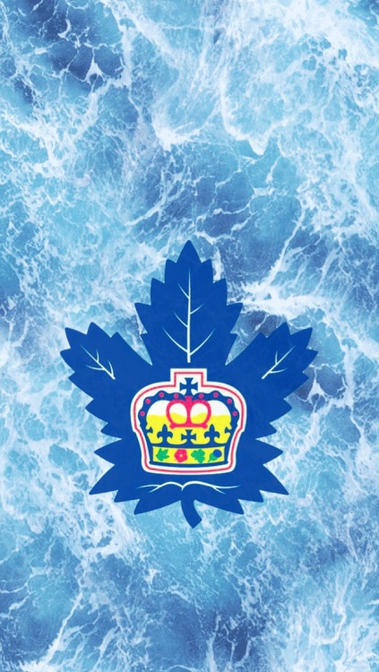 Toronto Marlies /requested by @two-minute-minor/