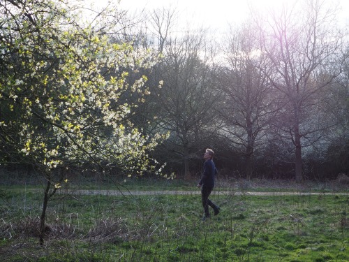 Bintree Woods, Norfolk14th April 2022