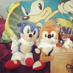 msdbzbabe:  90’s Sonic &amp; Tails cosplaying as 2014 Sonic &amp; Tails &amp; the after picture. 