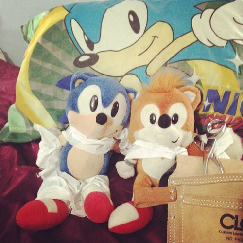 msdbzbabe:  90’s Sonic & Tails cosplaying as 2014 Sonic & Tails & the after picture. 