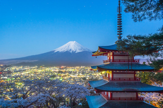 fuckyeahjapanandkorea:  Mt.Fuji, Sakura, Temple (Morning &amp; Night) by @AK1