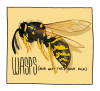 bumbledeefumble:symbolone:this has been a wasp psa