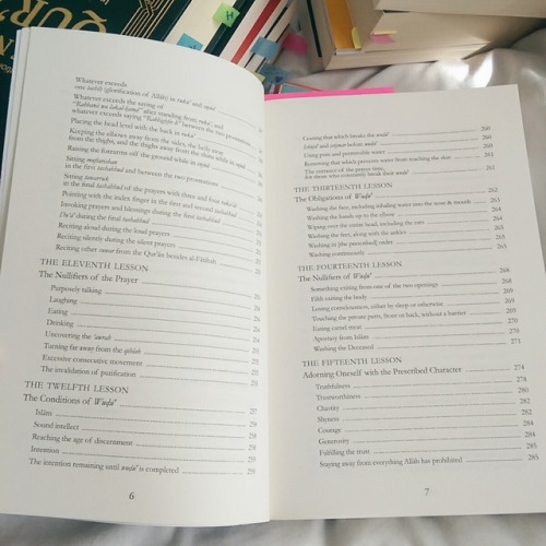 Book Recommendation:  Explanation of Important Lessons For Every Muslim  Written By Shaykh