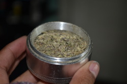 indica-mist:  Whats in your grinder? 