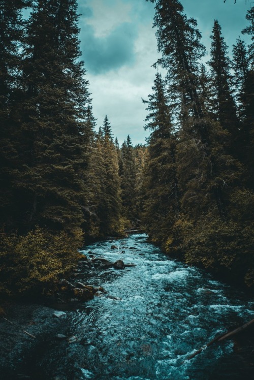 expressions-of-nature:Arctic Valley, Anchorage Alaska by Redd Angelo