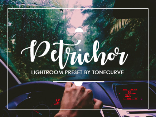 tonecurve - Introducing PETRICHOR lightroom preset by...