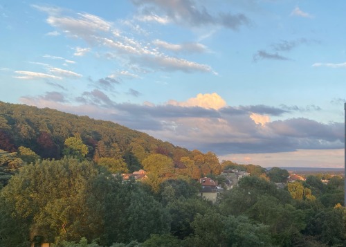 Also Finally I Have A Picture Of My Window View For Every Season.