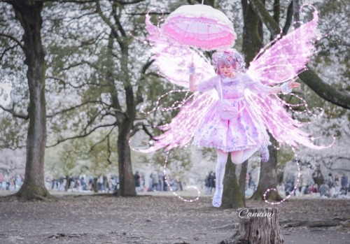 canniny: Yoyogi park  Part 1