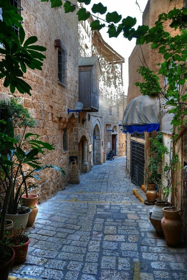 sh-inaam: Old city of occupied Yaffa… Palestine❤❤