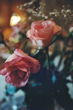 lux-aurea:  flowers (by nateblais) 