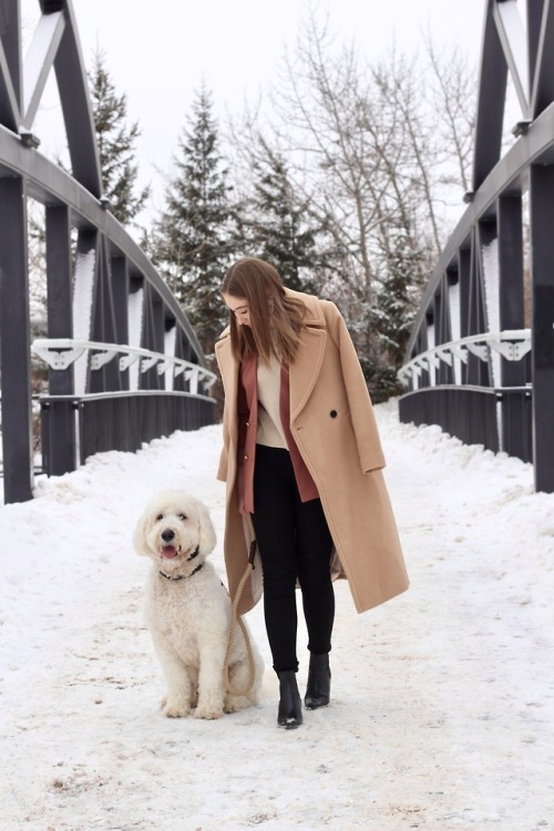 Famous Last WordsNovember 16, 2018:“They don’t have the pink colour in this coat at Club